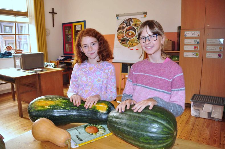 24-10-333.jpg 24-10-333.jpg