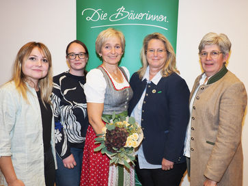 [1732095140235992.jpg]