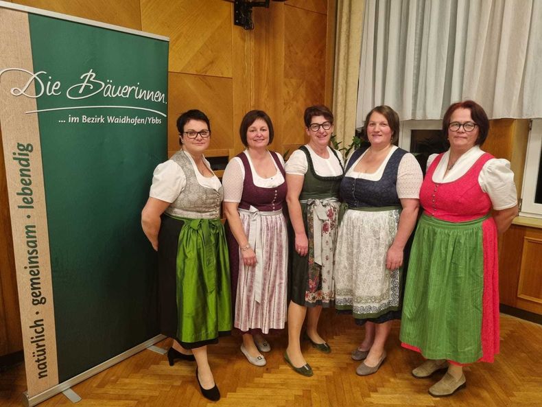 WhatsApp Bild 2024-11-20 um 15.43.58 6f6a2b90.jpg