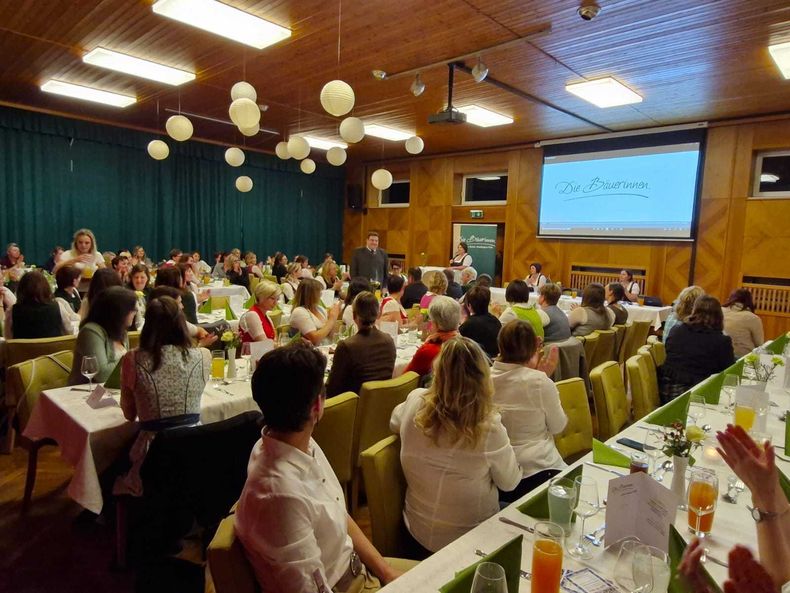 WhatsApp Bild 2024-11-20 um 15.44.00 c9e59d69.jpg