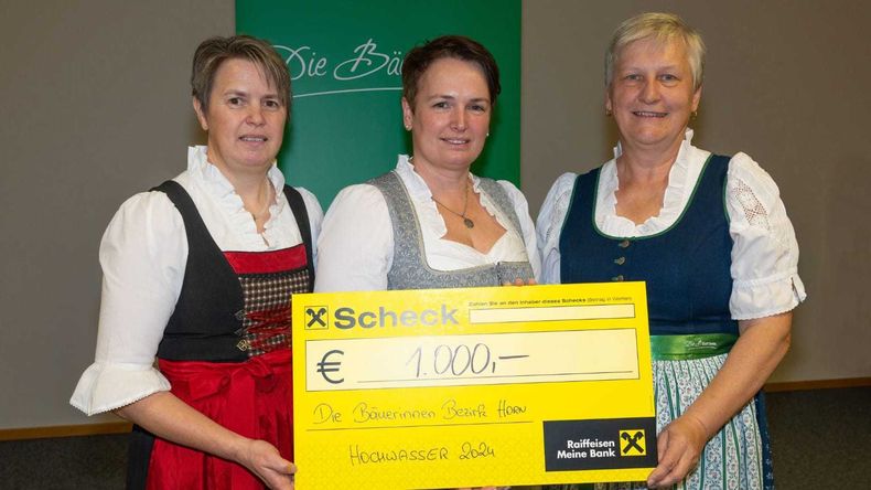 IMG-20241117-WA0006.jpg IMG-20241117-WA0006.jpg