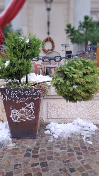 22112024 (12).jpg 22112024 (12).jpg