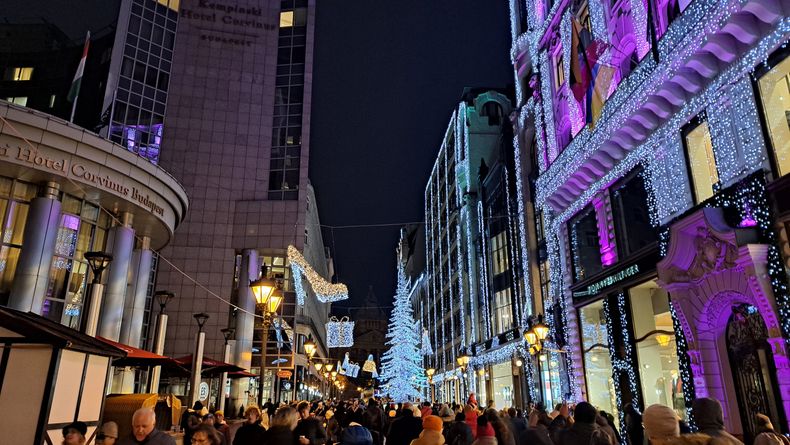 22112024 (16).jpg 22112024 (16).jpg