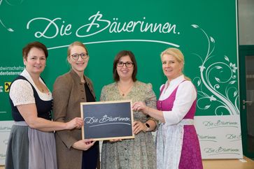 [1733393544686798.jpg]