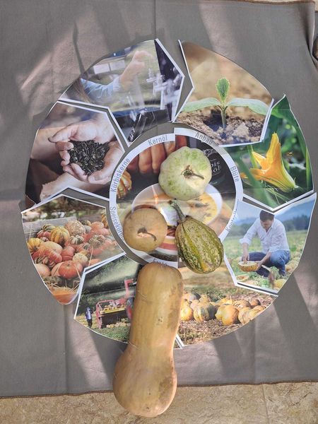 Schulaktion d. Bäuerinnen 2024 (5).jpg Schulaktion d. Bäuerinnen 2024 (5).jpg