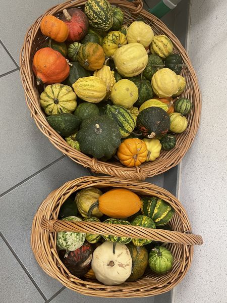 Schulaktion d. Bäuerinnen 2024 (17).jpg Schulaktion d. Bäuerinnen 2024 (17).jpg