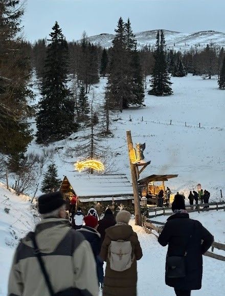 Screenshot 20241215 064835 com.whatsapp.jpg Screenshot 20241215 064835 com.whatsapp.jpg