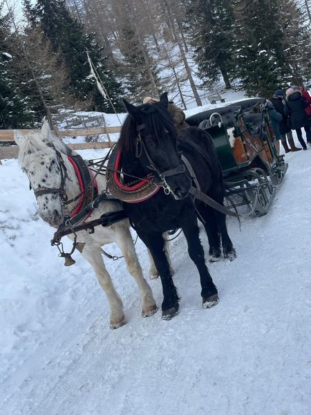 2024 Advent am Katschberg