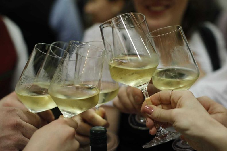 2025 Jungbauernball 2025 Jungbauernball