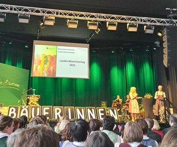 [1737127167973215.jpg]