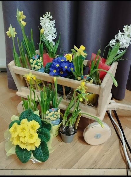 Tag der Bäuerin 2025 ©&nbsp;Die Bäuerinnen im Bezirk Neunkirchen