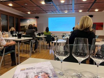 [1737390390681931.jpg]