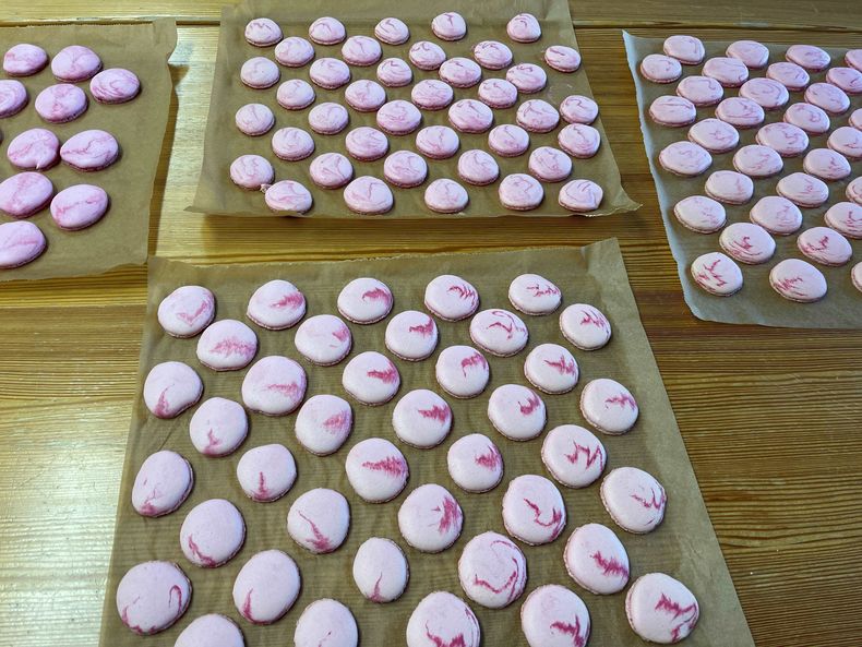 IMG 2888.jpg IMG 2888.jpg