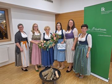 [1737460325317557.jpg]