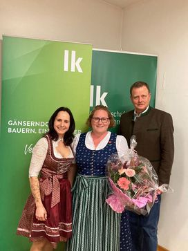 [1738309116516575.jpg]