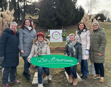 [1739865975377339.jpg]