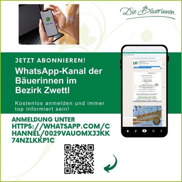 [1740055056023795.jpg]