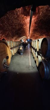 [1740321036569539.jpg]