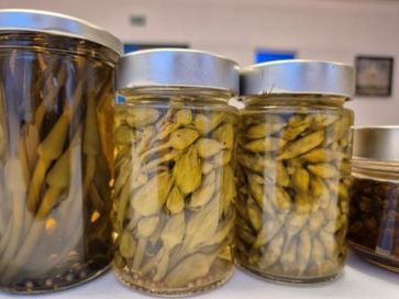 [1740934696903555.jpg]