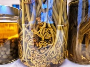 [1740934736097340.jpg]