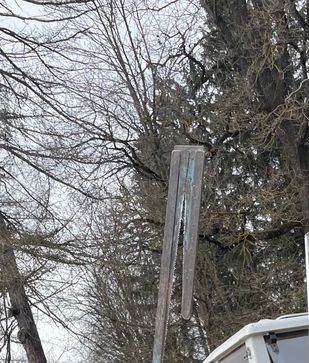 [1740987118217371.jpg]