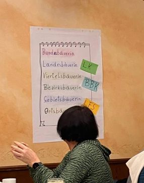 [1741720934825888.jpg]