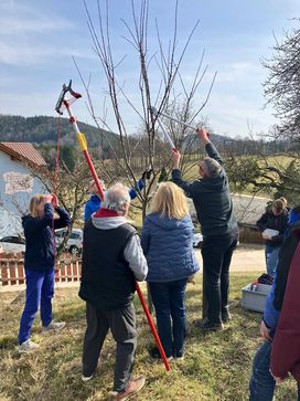 [1741721076828278.jpg]