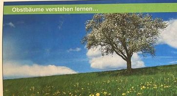 [1741721078210784.jpg]