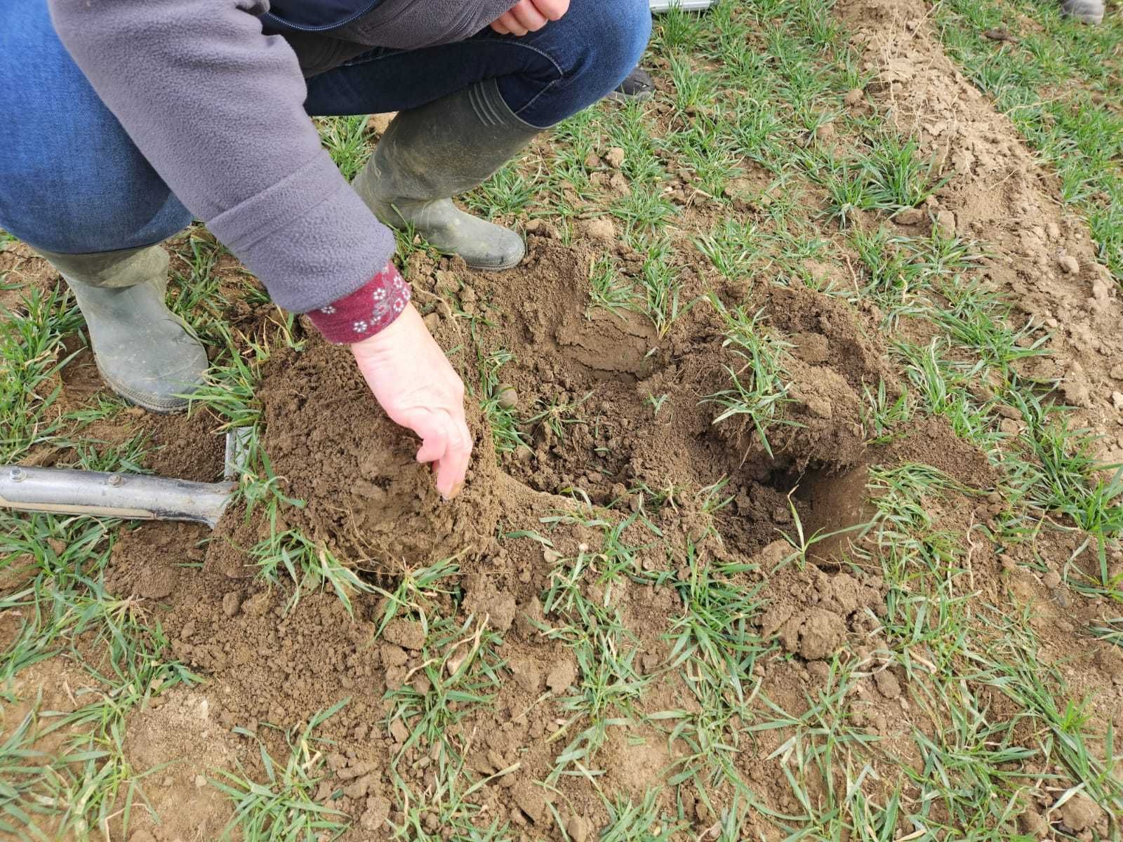 Bodenkoffer goes...Waldneukirchen... 
Vor kurzem drehte sich beim AK in Waldneukirchen allles um den Boden. Elisabeth Murauer stellte den Bodenkoffer perfekt vor und ermöglichte viele Einblicke in den Boden. Danke für das große Interesse und die vielen Diskussionen! © BWSB