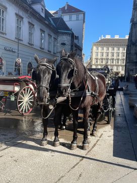 [1742919285734346.jpg]