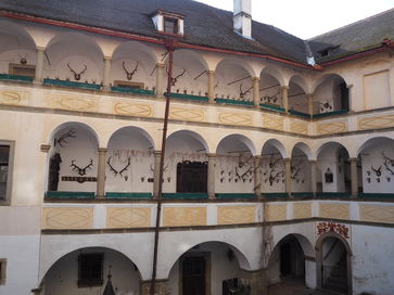 [1743261363689577.jpg]