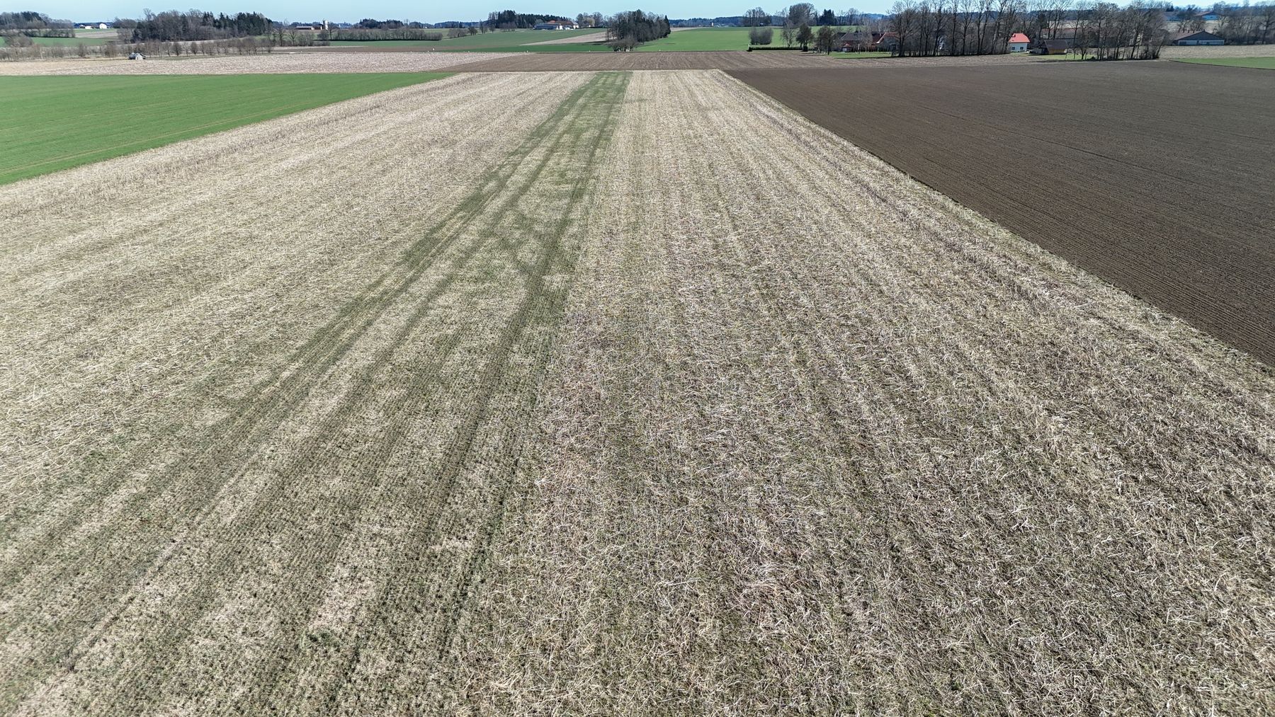 Drohnenfoto vom Versuch. Vom grüneren Streifen in doppelter Breite (12m, Grünschnittroggen) bis zum rechten Feldrand sind sechs Versuchsparzellen angelegt (je 6m). © BWSB