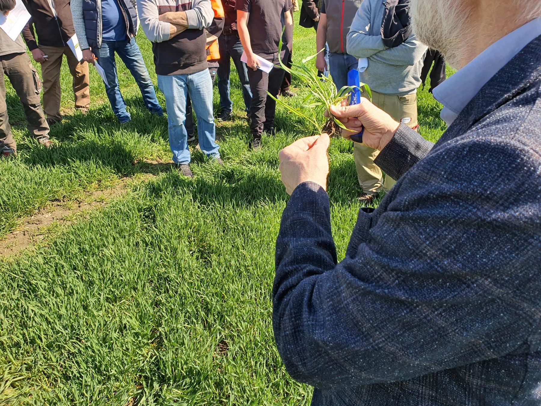 Gregor Lehner übermittelt uns Eindrücke von der Feldbegehung in Eferding - Stroheim mit Hubert Köppl. Die Schossdüngung im Getreide speziell bei der Gerste steht bevor und Hebizidmaßnahmen können gesetzt werden. Mit dem Waschstumsreglereinsatz aufgrund der zu erwartenden Nachtfrösten noch zuwarten!  © BWSB