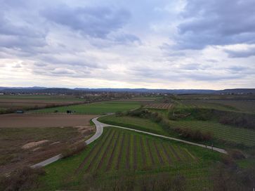 [1744177053705541.jpg]