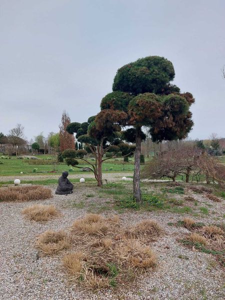 Exkursion vom 02.04.2025 - Schärdinger und Rosenfellner Mühle ©&nbsp;Die Bäuerinnen im Gebiet Weitra
