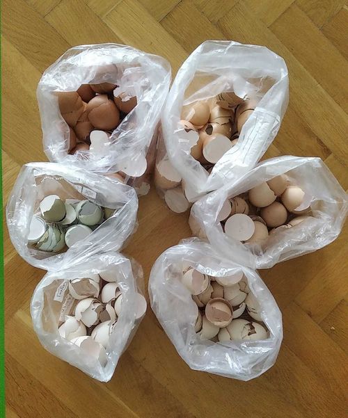 Schulaktionstag in Mönichkirchen  ©&nbsp;Die Bäuerinnen in Aspang 