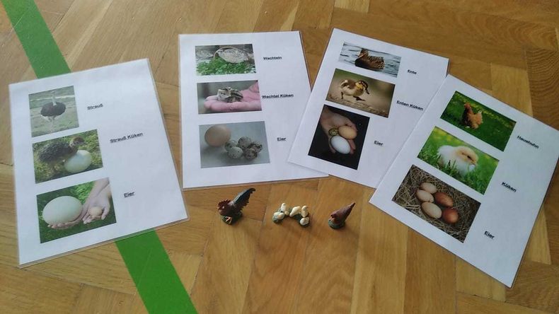 Schulaktionstag in Mönichkirchen  ©&nbsp;Die Bäuerinnen in Aspang 