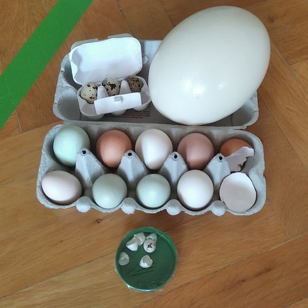 Schulaktionstag in Mönichkirchen  ©&nbsp;Die Bäuerinnen in Aspang 