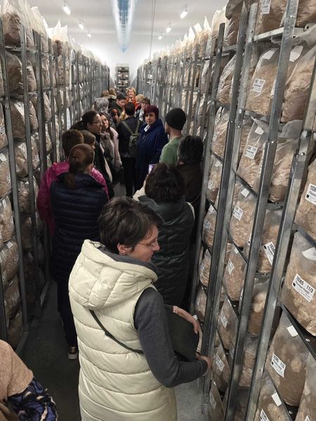 22032025 (6).jpg 22032025 (6).jpg