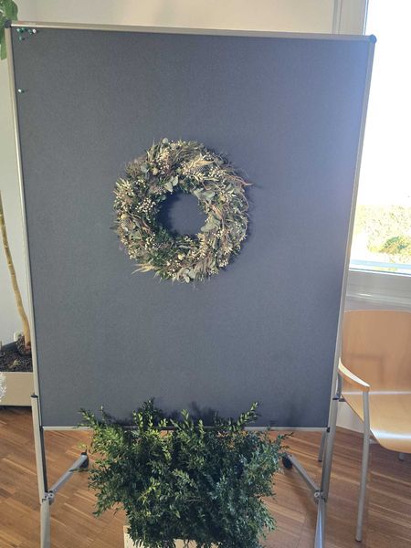 IMG-20250320-WA0006.jpg IMG-20250320-WA0006.jpg