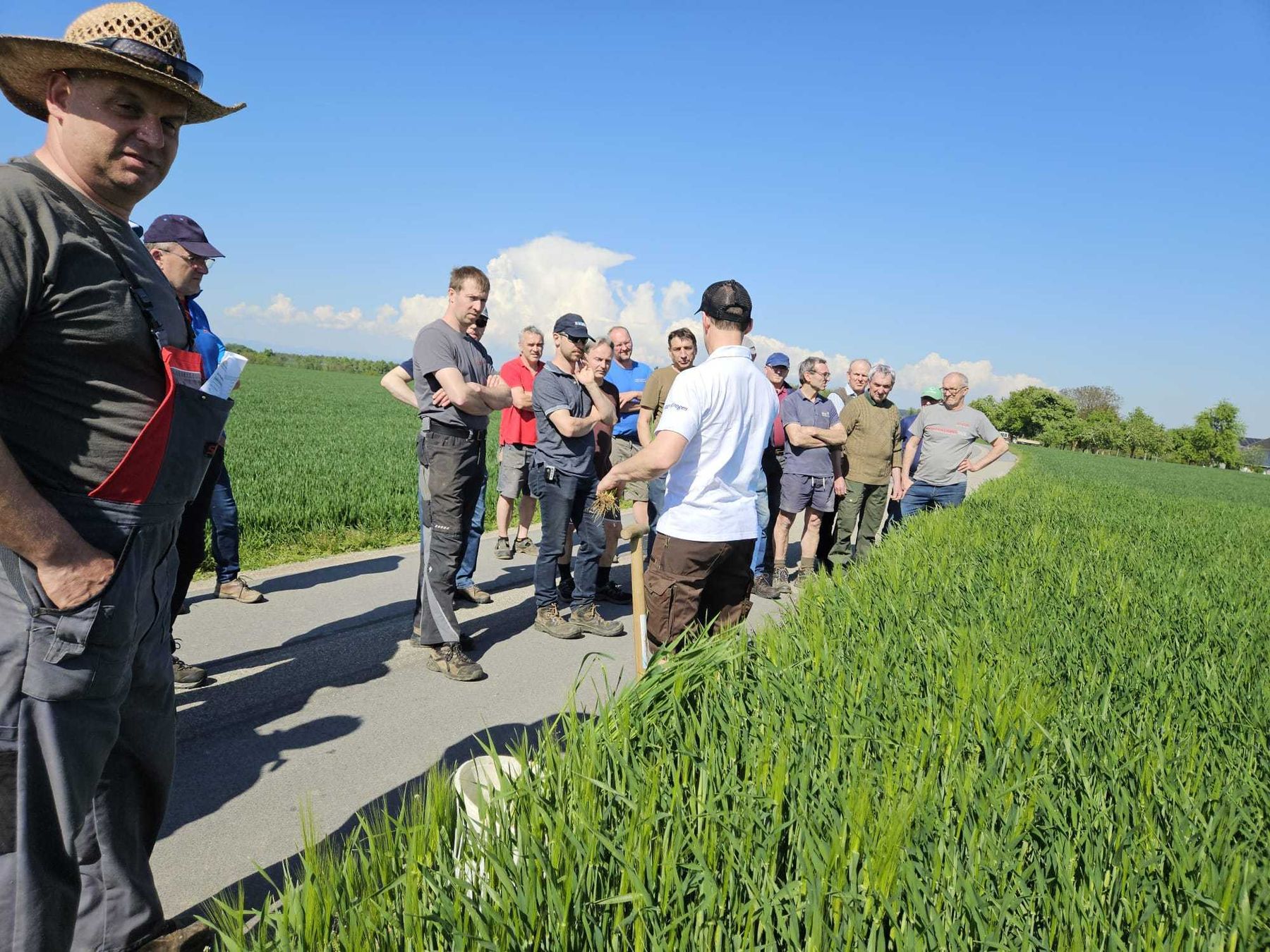 Feldbegehung in Rohr im Kremstal bei Familie Wallner mit Gerhard Gebeshuber. Themen waren: Aktuelles zur Gerste (Ramularia!), Weizen, Mais, Raps und Tipps zu schonenden Bodenbearbeitung im Frühjahr. © BWSB