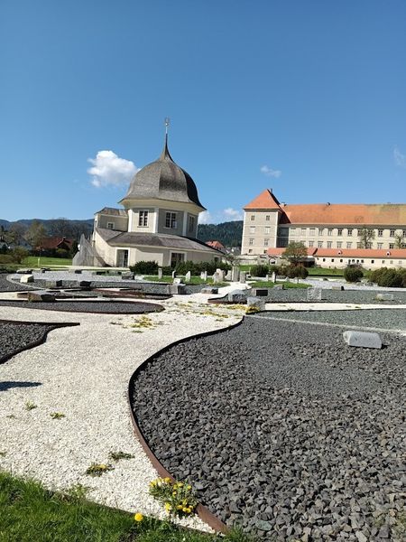 IMG 20250429 102623.jpg