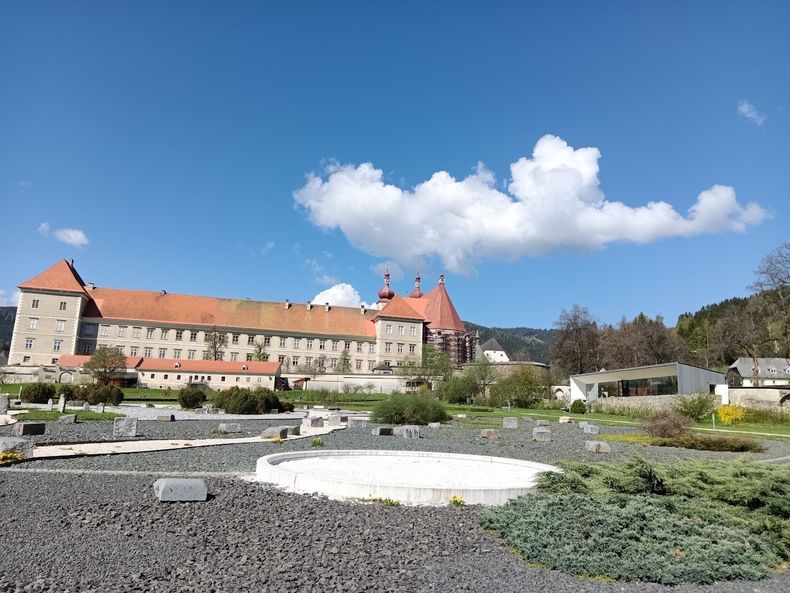 IMG 20250429 102736.jpg