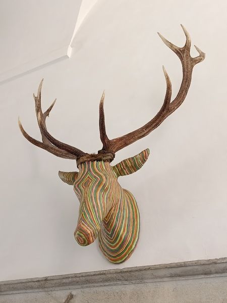 IMG 20250429 111650.jpg