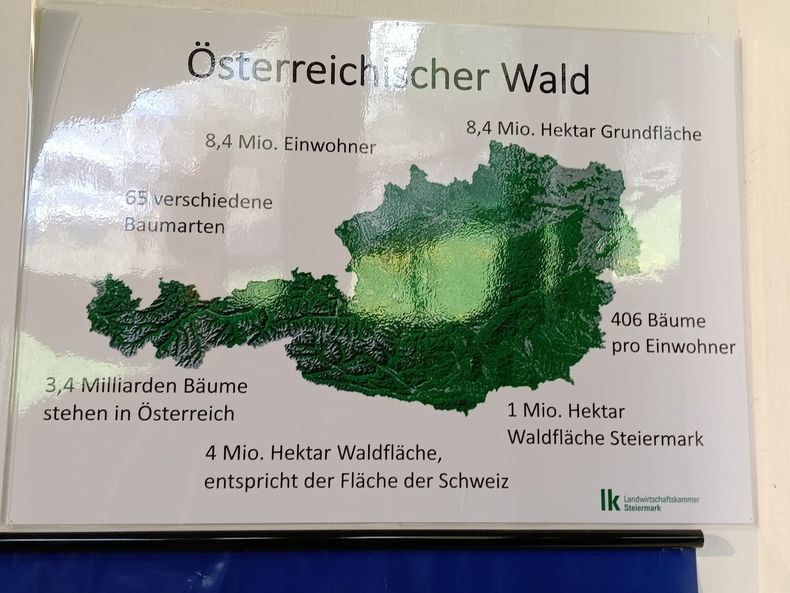 IMG 20250429 150911.jpg