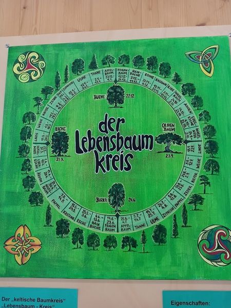 IMG 20250429 151828.jpg