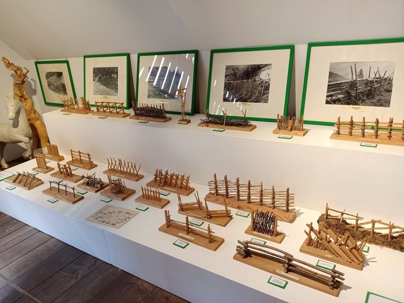 IMG 20250429 153443.jpg