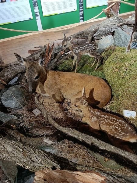 Excursion 2025 ©&nbsp;Die Bäuerinnen im Bezirk Neunkirchen