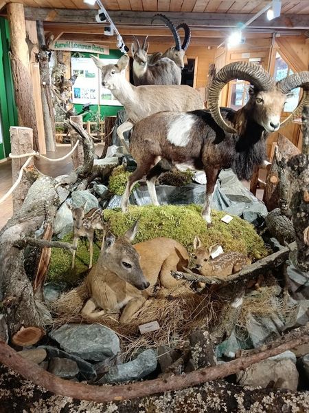 IMG 20250429 162735.jpg