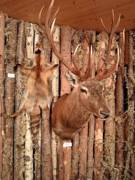 IMG 20250429 162842.jpg